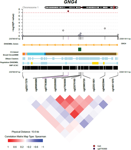Figure 2. Regional Association Plot for the Top DNA Methylation (CpG) Site cg07783800.
