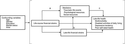 Figure 1 Analytic framework.
