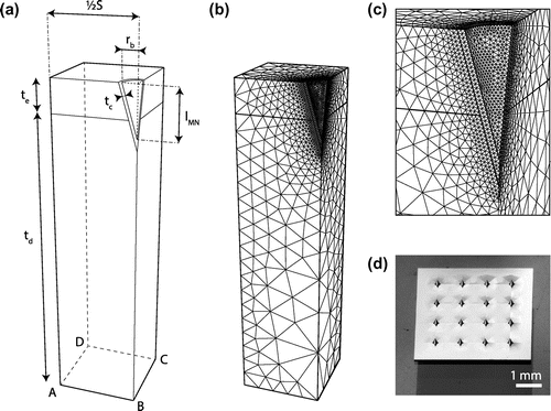 Figure 1. Schematic representation of the microneedle and array geometry and the finite element mesh. (a) The microneedle was characterized by its length, lMN, radius at the base, rb, and coating thickness, tc. The array can be described by the distance between the centers of two adjacent microneedles, S. The skin is divided in an epidermal and dermal layer with thicknesses te and td, respectively. A single RVE is illustrated. (b) The mesh of the default microneedle (Table 1). (c) Close up of the mesh around the microneedle. (d) Example of a microneedle array from Tyndall National Institute, Cork, Ireland.