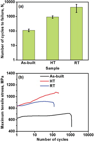 Figure 3. (a) Number of cycles to failure of stress-controlled fatigue tests and (b) maximum tensile stress of strain-controlled fatigue tests of as-EBM built, heat treated and reverse-transformed CCM alloys.