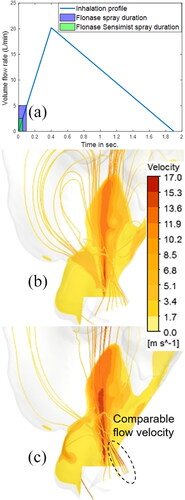 Figure 10. (a) Inhalation flow profile with Flonase Sensimist and Flonase spray overlap. Contours showing the air-jet and streamlines starting from the nostril inlets under inhalation flow conditions for (b) Flonase Sensimist (c) Flonase.