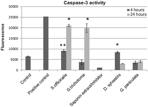 Figure 4. Detection of caspase-3 activity in macrophage NR8383 cell line treated with extracts of Saponaria officinalis, Gypsophila trichotoma, Dianthus sylvestris, and Gypsophila paniculata. Cells were treated with 100 µg/ml of plant extracts for 4 and 24 h. Untreated cells were used as a control. Cells were treated with 8 µg/ml camptothecin for 4 h to induce apoptosis and were used as positive control. In addition, an aldehyde inhibitor (Saponin extract-Inhibitor) was used to confirm that the observed fluorescence signal is due to the activity of caspase-3. Saponaria officinalis and Gypsophila trichotoma extracts induced a time-dependent apoptosis in the macrophage cell line. Each bar represented the percentage (mean ± SD of triplicate determinations). Asterisks represent values significantly different from the control: *p < 0.01. **p < 0.05 versus control.