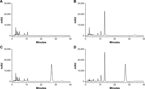 Figure 6 Typical HPLC chromatograms of (A) blank beagle dog plasma, (B) blank beagle dog plasma spiked with the internal standard, (C) blank beagle dog plasma spiked with fenofibric acid, and (D) plasma sample after oral administration of fenofibrate preparation spiked with the internal standard.