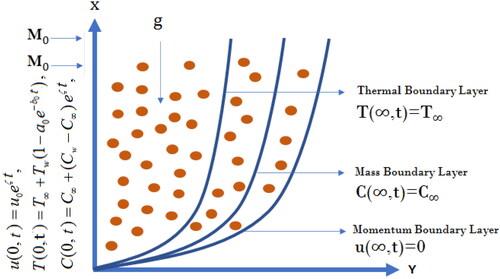 Figure 1. Physical geometry of the second grade fluid model.