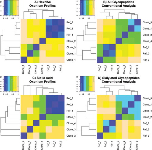 Figure 7. Automated similarity assessment of Fc-Fusion1 reference and clone samples calculated from (A.) processed HexNAc oxonium ion profiles, (B.) conventional analysis of all known and detected glycopeptides, (C.) processed sialic acid oxonium ion profiles, and (D.) conventional analysis of all known and detected sialic acid-containing glycopeptides. Samples with the most similarity and dissimilarity are purple colored and peach colored, respectively.