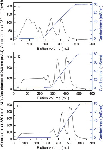 FIGURE 1 Effects of different sample volume on DEAE cellulose DE-52 column chromatography. (a–c) Elution curves of DEAE cellulose chromatography with sample volume of 10, 20, and 30 mL.