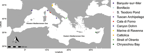 Figure 1. Sampling localities of Aricidea assimilis in the Mediterranean Sea.