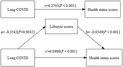 Figure 3 The mediating effect of lifestyle scores.