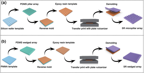 Figure 2. Schematics of the fabrication of (a) cylindrical micropillar-arrayed surfaces and (b) microwedge-arrayed surfaces.