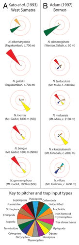 Figure 2. Prey capture patterns in Nepenthes species studied by (A) Kato et al.Citation23 and (B) Adam.Citation24 Each prey taxon is represented as a “wedge” in the chart. The size of each wedge is scaled according to the proportion of prey that belonged to that taxon. The scale is represented by concentric circles: the inner one denotes 25% of prey, whereas the outer one denotes 50% of prey.