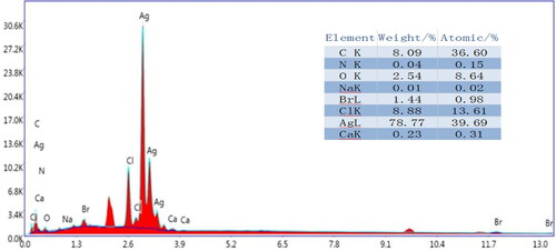Figure 3. The EDS profiles of the sample.
