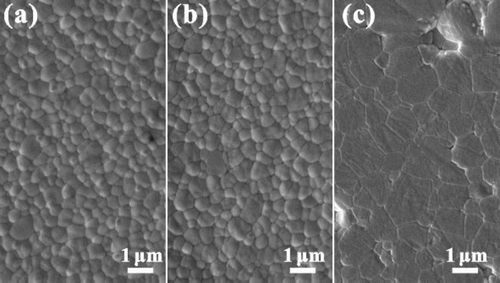 Figure 13. SEM images of the samples of (a) 2.3Y-TZP, (b) 3Y-TZP and (c) Al2O3.