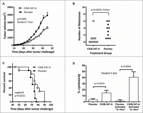 Figure 3. Administration of the CIGB-247-A vaccine significantly reduce tumor growth and spontaneous metastases in BALB/c mice challenged with F3II mammary tumor cells. (A) Tumor mean volume kinetics ± standard deviation of the mean (SEM) (n = 20, Student t test, P < 0.005). (B) Number of metastases per lung, per animal group. The symbols represent individual mice, n = 10. (C) Mean survival time of the animals relative to control, in 10 mice from each group. Fisher and Logrank test analysis are included in each graph. (D) Evaluation of F3II specific cytotoxicity of spleen cells from BALB/c mice immunized with CIGB-247-A (400 μg of antigen) or placebo, activated or not “in vitro.” Data are presented as percentage of dead cells as compared to un-treated target cells, mean ± standard deviation of the mean (SEM) is depicted; p-values were calculated according to Student's t-test (n = 5).