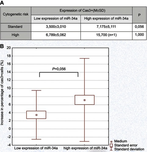 Figure 2 Rate of apoptosis in cladribine-added cell cultures of leukemic cells in regards to miR-34a expression. (A) Comparison of patients with high and low expression of miR-34a in standard and high cytogenetic risk groups, respectively. (B) Comparison of patients with high and low expression of miR-34a, respectively in standard cytogenetic risk group.Abbreviation: Cas3, caspase 3.