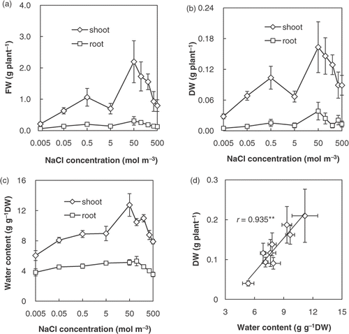 Figure 1 (a) Fresh weight (FW), (b) dry weight (DW) and (c) water content of shoots and roots of Salicornia bigelovii plants subjected to salt (NaCl) treatment for 28 days. (d) Relationship between DW and water content. Data points represent mean ± standard errors (n = 9–13 for FW, n = 5 for DW and water content). The correlation coefficient was significant according to Pearson's test at p < 0.01(**).