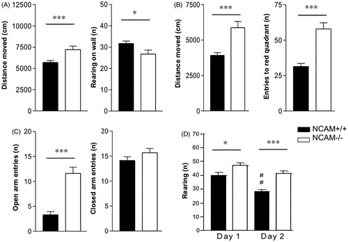 Figure 3. Increased arousal and novelty response in NCAM−/− mice. (A) NCAM−/− mice (n = 18) show higher locomotor activity and reduced wall-supported rearing in comparison to NCAM+/+ mice (n = 18) in an open field. (B) Increased locomotor activity and increased number of entries to the dark are evident in a light/dark test of anxiety. (C) In the elevated plus maze, NCAM−/− mice show a remarkable increase in open arm exploration, but no change in closed arm exploration. (D) NCAM−/− mice in the new cage/new object test show increased rearing on both test days, indicating an enhanced novelty response. Values indicate group means ± SEM; *, **, *** p ≤ 0.05, 0.01, 0.001, respectively, compared to NCAM+/+. ## p ≤ 0.01 compared to NCAM+/+ mice on day 1.