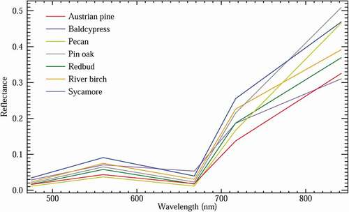 Figure 6. Multispectral reflectance profiles for each species type. Spectral profiles represent the mean reflectance curve of all samples within a species population. Sycamore stands out most among the spectral signatures of the species studied as demonstrated both hyperspectral and multispectral data. A flattened transition from the green to red region, as well as a shallower transition into the NIR region is consistent with the senescence stage observed with sycamore species when the data was collected