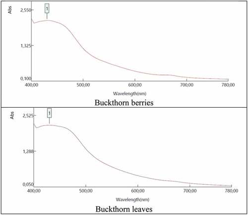 Figure 3. Absorbance curve of the blank dye bath.