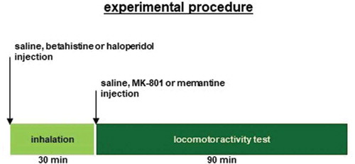 Figure 1. Experimental procedure Mice were treated with saline, haloperidol, or betahistine 30 minutes before the i.p. injection of saline, MK-801, or memantine. After injection, all mice were acclimated in a single housing environment for 90 minutes for locomotor activity measurements.