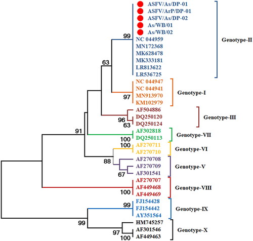 Figure 3. Phylogenetic tree of ASFV based on partial B646L gene. The ASFV strains detected in wild boars and domestic pigs (highlighted with red circle) formed clade with genotype-II strains (dark blue colour clade) of ASFV.