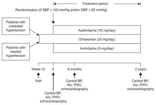 Figure 1 Study protocol.Modified with permission from Takami T, Saito Y. Effects of azelnidipine plus olmesartan versus amlodipine plus olmesartan on central blood pressure and left ventricular mass index: the AORTA study. Vasc Health Risk Manag. 383–390. © 2012 Dove Medical Press.Citation5