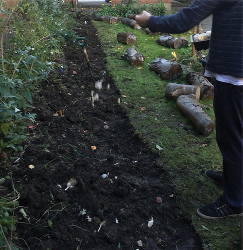 Figure 3. Removing grass and extending a plant bed with a log border (Resident-taken).