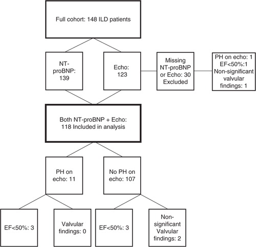 Fig. 1 Flow chart showing the number of patients included in final analysis and the results of echocardiography in the respective subgroups, ILD, interstitial lung disease; Echo, echocardiography; PH, pulmonary hypertension; EF, left ventricular ejection fraction.