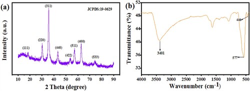 Figure 1. XRD pattern and FTIR spectrum of Fe3O4 nanoparticles.