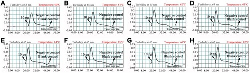 Figure 3 (A–H) Optimization of reaction temperature for E. faecalis-MCDA primers. The MCDA amplifications for the detection of E. faecalis were monitored through real-time turbidity, and the corresponding curves of DNA concentrations were displayed in the graph. The threshold value was 0.1 and a turbidity>0.1 was considered as positive. Mixtures with 10-pg genomic templates of Enterococcus faecium (isolated strain) and Staphylococcus aureus (ATCC 25923) were used as negative controls (NCs), and 1 μL of double-distilled water (DW) was used as a blank control (BC). Eight kinetic graphs were obtained at different temperatures (60–67°C, 1°C intervals) with 10-pg target genomic DNA per reaction. The graphs from C to H showed robust amplification.