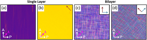 Figure 2. Polarized optical microscope images with a full-wave plate (λ = 530 nm) of (a) and (b) the uniaxially aligned single-layer dichroic dye-doped LC film (‘red’), and (c) and (d) the BDLC film. The white arrows indicate the polarizer (P) and the analyzer (A). The magenta arrow indicates the slow axis of the full-wave plate. Scale bar = 100 μm.