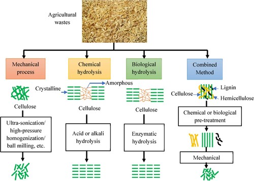Figure 3. Schematic diagram of common CNCs extraction methods from agricultural wastes: adapted from (Citation31).