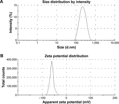 Figure 1 Size distribution (A) and zeta potential (B) of cobra neurotoxin nanocapsules.