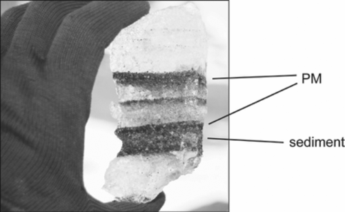 Figure 2. Section of basal ice at Suess Glacier showing the PM and sediment matrix