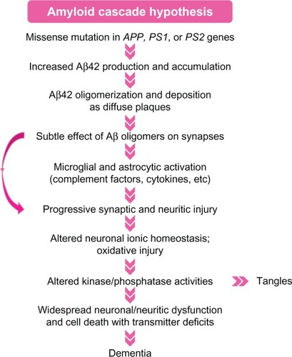 Figure 2 Hypothetical pathogenetic steps of the amyloid cascade hypothesis.