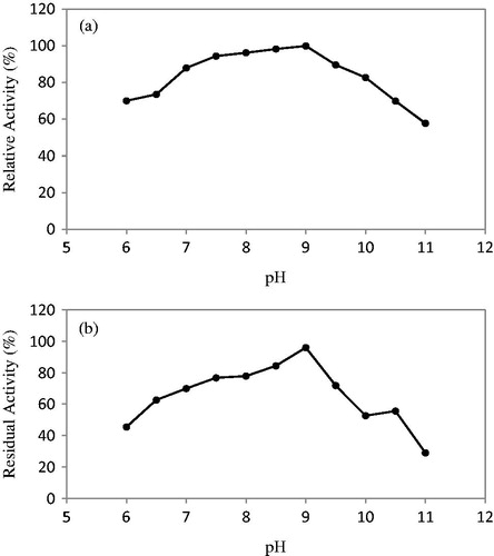 Figure 2. Effect of pH on activity (a) and stability (b) of the purified protease from B. licheniformis A10.