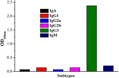 Figure 3. The isotype identification results of MD-mAb.