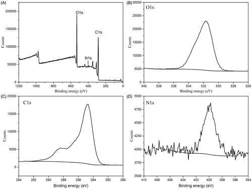 Figure 3. (A) X-ray photoelectron spectroscopy (XPS) survey spectra. (B) C 1s, (C) O 1s and (D) N1s XPS spectra.