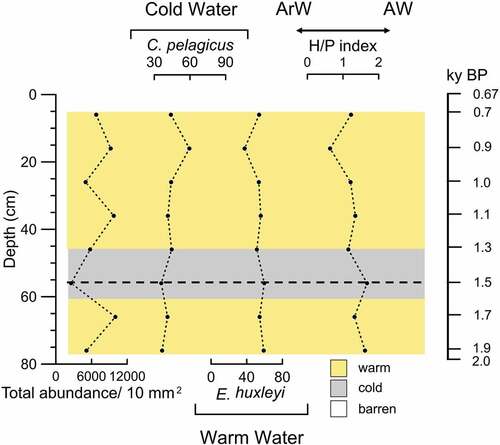 Figure 5. Down-core distribution of calcareous nannofossil species expressed as a percentage, total abundance, and H/P index plots against the depth. The age model is also reported. The yellow shades correspond to warm intervals and the gray shades correspond to cold intervals. The dotted line indicates the change in paleoenvironment at 1,500 years BP. ArW = Arctic Water. AW = Atlantic Water.