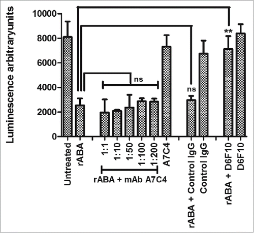Figure 7. Enzymatic activity of abrin in the presence of mAb A7C4. Rabbit reticulocyte lysate containing amino acids and luciferase mRNA was treated with either 200 pM recombinant ABA (rABA) alone or in the presence of varying molar concentrations of the mAb A7C4 for 1 h at 37°C followed by addition of the luciferin substrate. The rescue of inhibition of protein synthesis in the test samples by the mAbs was evaluated as the luminescence obtained in comparison with the rABA control. The figure represents data obtained from 3 different experiments. Similar treatments were performed with abrin in the presence of a control IgG1 antibody (200 fold molar excess over abrin). Treatment with abrin in the presence of mAb D6F10 (200 fold molar excess over abrin) served as a positive control.