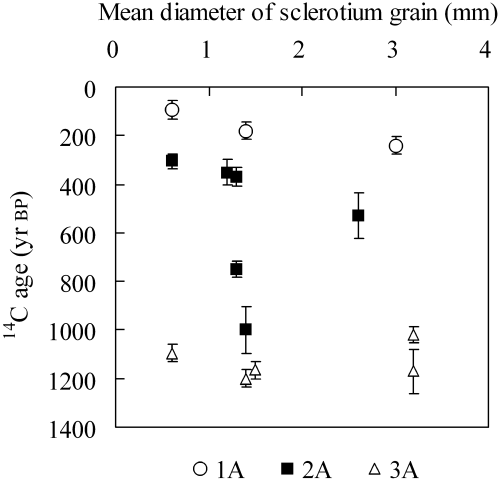 Figure 4  The relationship between 14C age and grain size obtained for the Myoko Asadaira profile.
