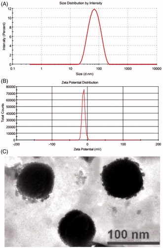 Figure 3. Figure showing (A) vesicles size distribution curve and (B) zeta potential and (C) transmission electron micrograph of optimized fisetin transethosomes formulation.