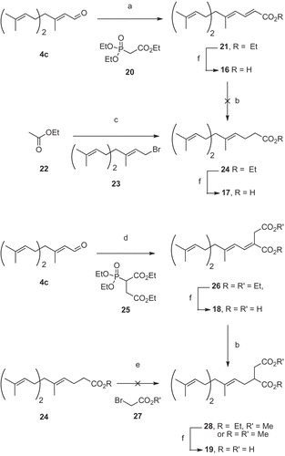 Scheme 3.  Synthesis of farnesyl acids. a) NaH and 20, THF, 0°C, 10 min then 30 min RT, then addition of 4c, RT, 4h30 (74%); b) Mg, MeOH, RT, 4h (38%); c) CuI, LDA, THF, 2h, −110°C, then addition of 23, −110°C, 2h (69%); d) NaH and 25, THF, 0°C, 10 min then RT, 40 min, then addition of 4c, RT, 2h15 (66%); e) LDA, THF, −78 °C, 35 min then addition of 27, −78°C; f) NaOH 2M, EtOH, 70 °C, 15h (77-100%).