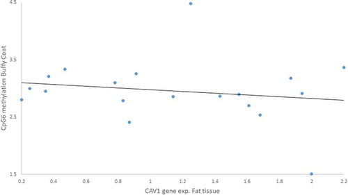 Figure 8. Negative Pearson correlation between CpG6 of buffy coat and Caveolin-1 (CAV1) expression in fat tissue of patients with impaired glucose regulation (IGR) after the lifestyle intervention. r = – 0.606, p = 0.028
