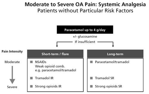 Figure 2 Recommendations of the working group on pain management for patients with osteoarthritis.