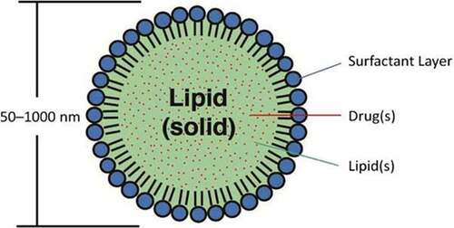 Figure 5. Schematic diagram of solid lipid nanoparticles [Citation99]