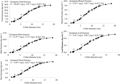 Figure 4. Gompertz model fitted to the observed dataset of biomass vs collar diameter in Mangifera indica.