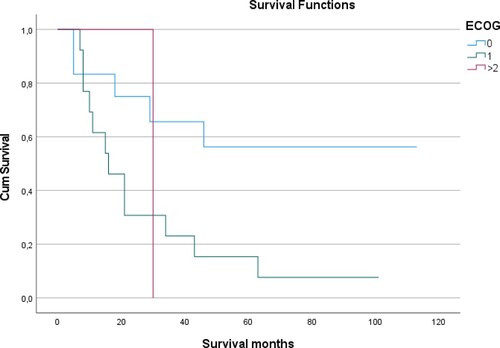 Figure 4. ECOG predicts survival of AML patients undergoing allogenic stem cell transplantation. Median OS after consolidation allogenic stem cell transplantation was significantly better for patients with an initial ECOG score of 0 as compared to those with an ECOG score of 1 at the time of first diagnosis.