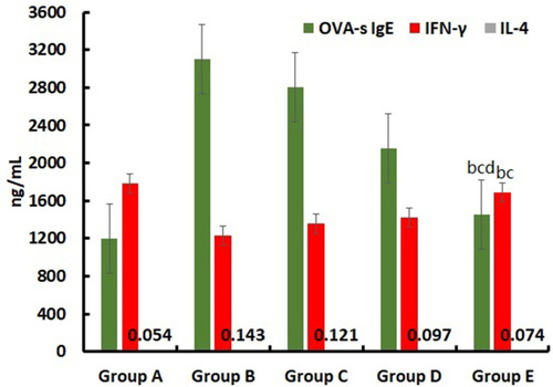 Figure 5 OVA-s IgE, IFN-γ and IL-4 concentration of different treatment groups in mice after pharmacodynamic study. Group A: Normal (untreated, positive control); Group B: PBS (negative control); Group C: 0.1% TAC eye drop; Group D: 0.1% TAC-SLNs; Group E: 0.1% TAC-SLNs ISG. (n=6). bp<0.05, Group E vs Group B; cp<0.05, Group E vs Group C; dp<0.05, Group E vs Group B.