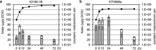 Figure 1. The sake yeast strain K7H868a accumulated more THF, 5MTHF, and total folate contents compared to the laboratory yeast strain X2180-1B in YPD medium.