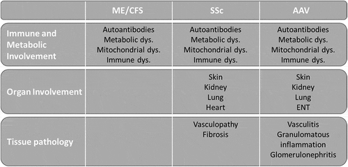 Figure 1. Comparison of the pathophysiological features of ME/CFS, SSc and AAV.